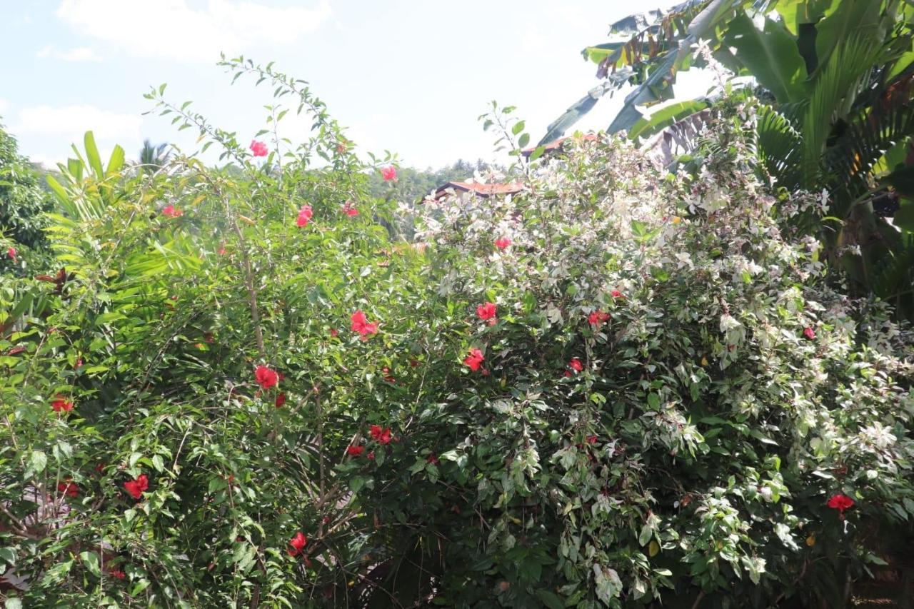 Appartamento Old Chilli House Unawatuna Esterno foto